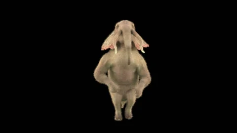 Elephant Dancing 3d rendering animal realistic Stockbeeldmateriaal 305000102