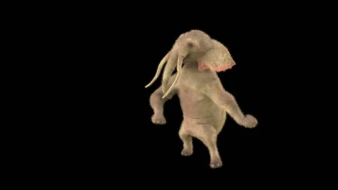 Elephant Dancing 3d rendering animal realistic 库存影片 305180642
