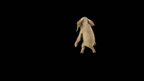 Elephant Dancing 3d rendering animal realistic Stock Footage 306258788