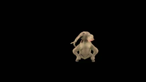 Elephant Dancing 3d rendering animal realistic Stock Footage 306878209