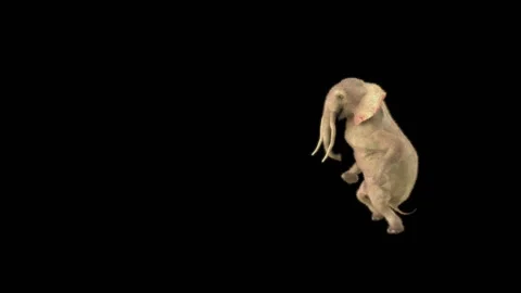 Elephant Dancing 3d rendering animal realistic Stock Footage 307127681