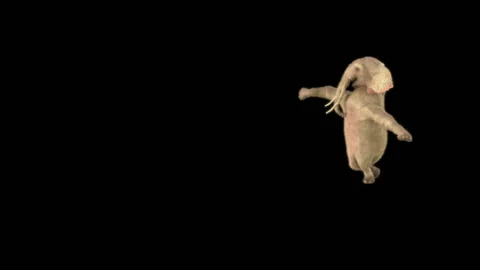Elephant Dancing 3d rendering animal realistic Stock Footage 308866244