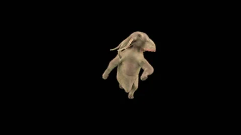 Elephant Dancing 3d rendering animal realistic Stock Footage 310500925