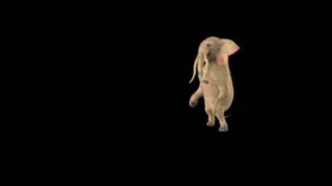 Elephant Dancing 3d rendering animal realistic Stock Footage 310736379