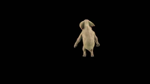 Elephant Dancing 3d rendering animal realistic Stock Footage 310843983