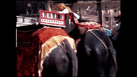 Elephant with Decorated Saddle Stock Footage 276292920