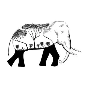 Elephant design wild nature concept africa in full growth, moving forward Stock Illustration