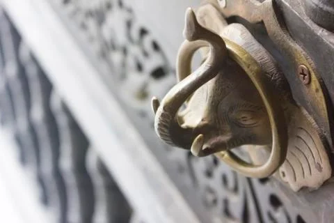 Elephant door locked Stock Photos