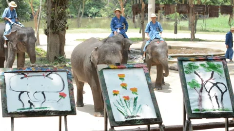 Elephant drawing a picture Stock Footage 158659738