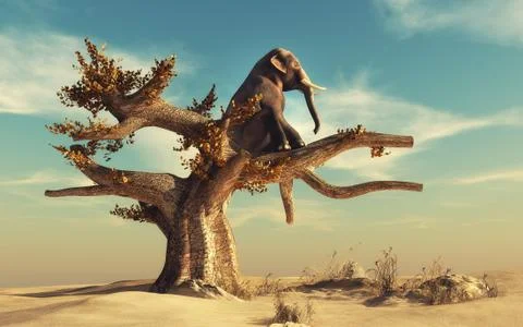 Elephant in a dry tree Stock Illustration