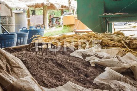 Elephant dung fertilizer ingredients. Stock Photos
