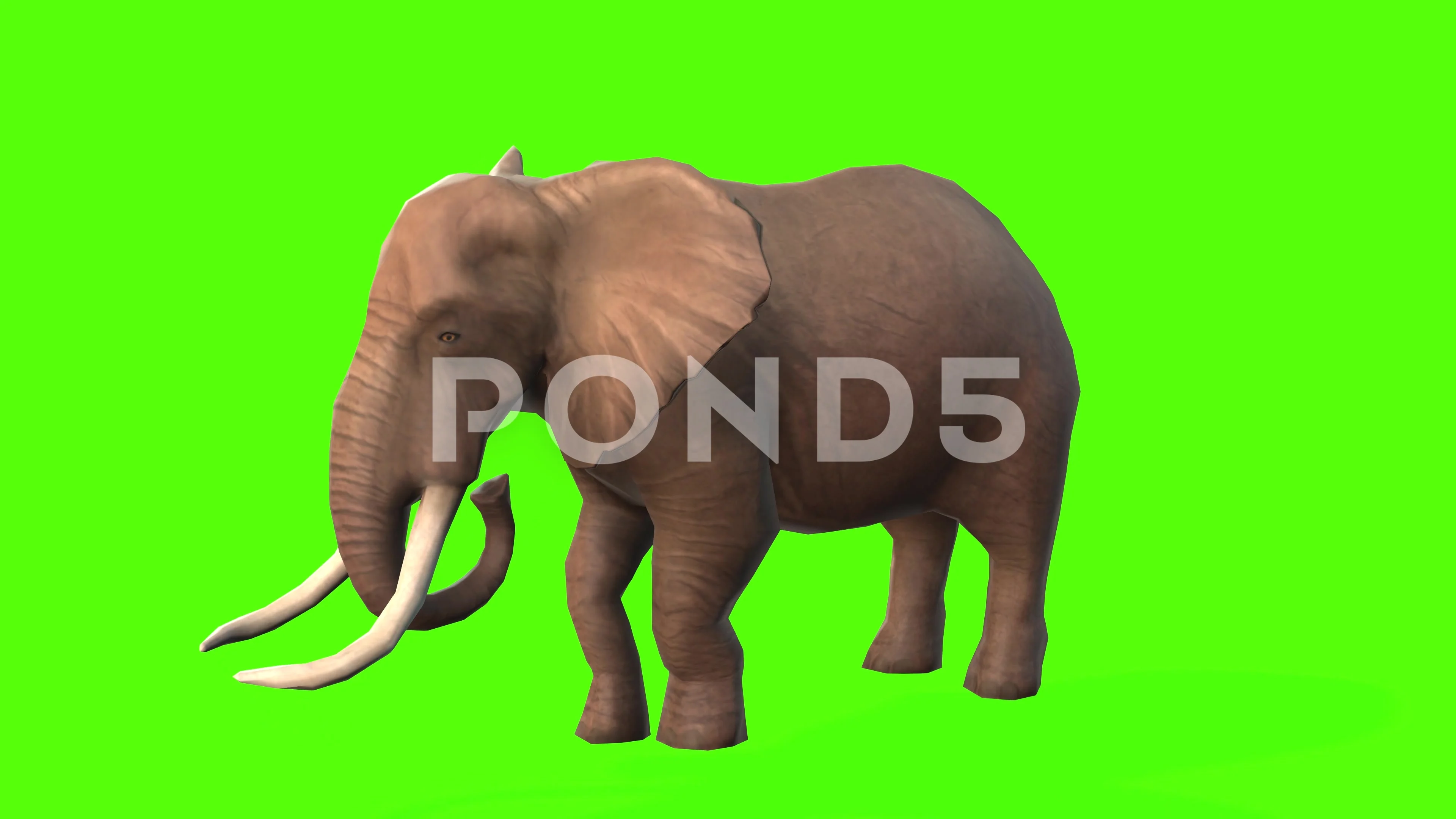 Elephant Walking Animation Stock Footage ~ Royalty Free Stock Videos | Pond5
