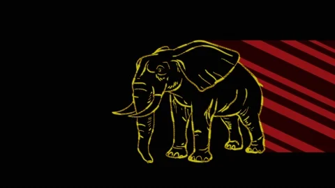 Elephant Stock Footage 153460561