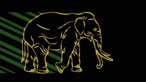 Elephant Stock Footage 153460572