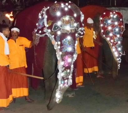 Elephant  forming part of the procession during the Esala Perahera Festival Stock Photos
