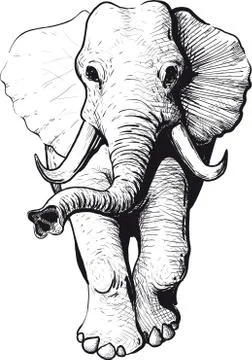 Elephant front view Illustrazione stock