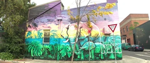 Elephant graffiti Stock Footage 140421023