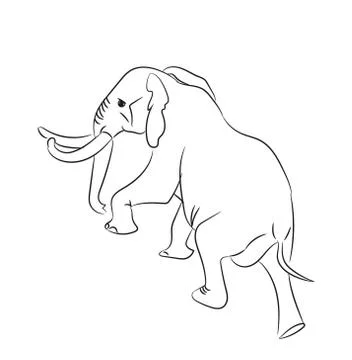 Elephant graphic line, goes, vector Illustrazione stock