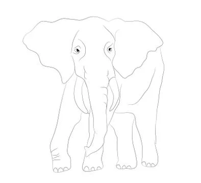 Elephant graphic line, goes, vector Stock Illustration