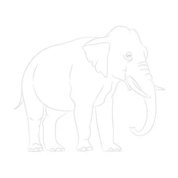 Elephant graphic line, goes, vector Stock Illustration