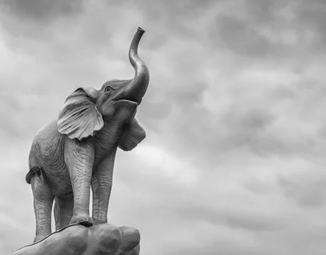 Elephant with gray sky at the background Stock Photos