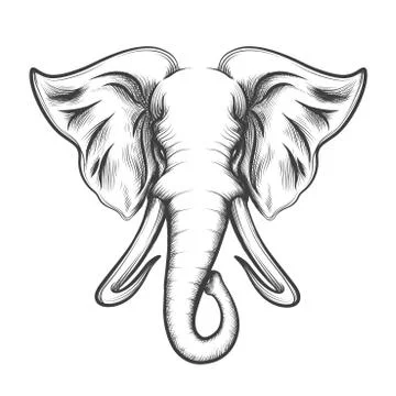 Elephant Head in Engraving style Stock Illustration