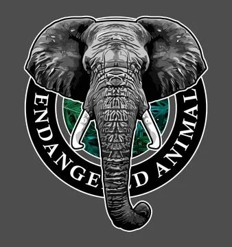 Elephant head front view on black background Stock Illustration