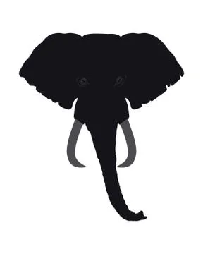Elephant Head Front View. This Silhouette May Be Used for Your Logo Stock Illustration