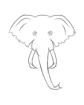 Elephant Head Front View. This Sketch May Be Used for Your Logo Stock Illustration