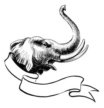 Elephant head Illustrazione stock