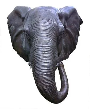 Elephant head Stock Photos