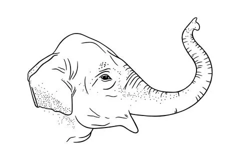Elephant head profile with upturned trunk. Engraved Indian elephant. Vector Stock Illustration