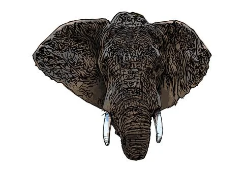 Elephant head vector ilustration Stock Illustration