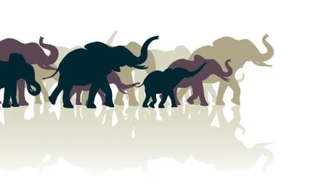 Elephant herd Illustrazione stock