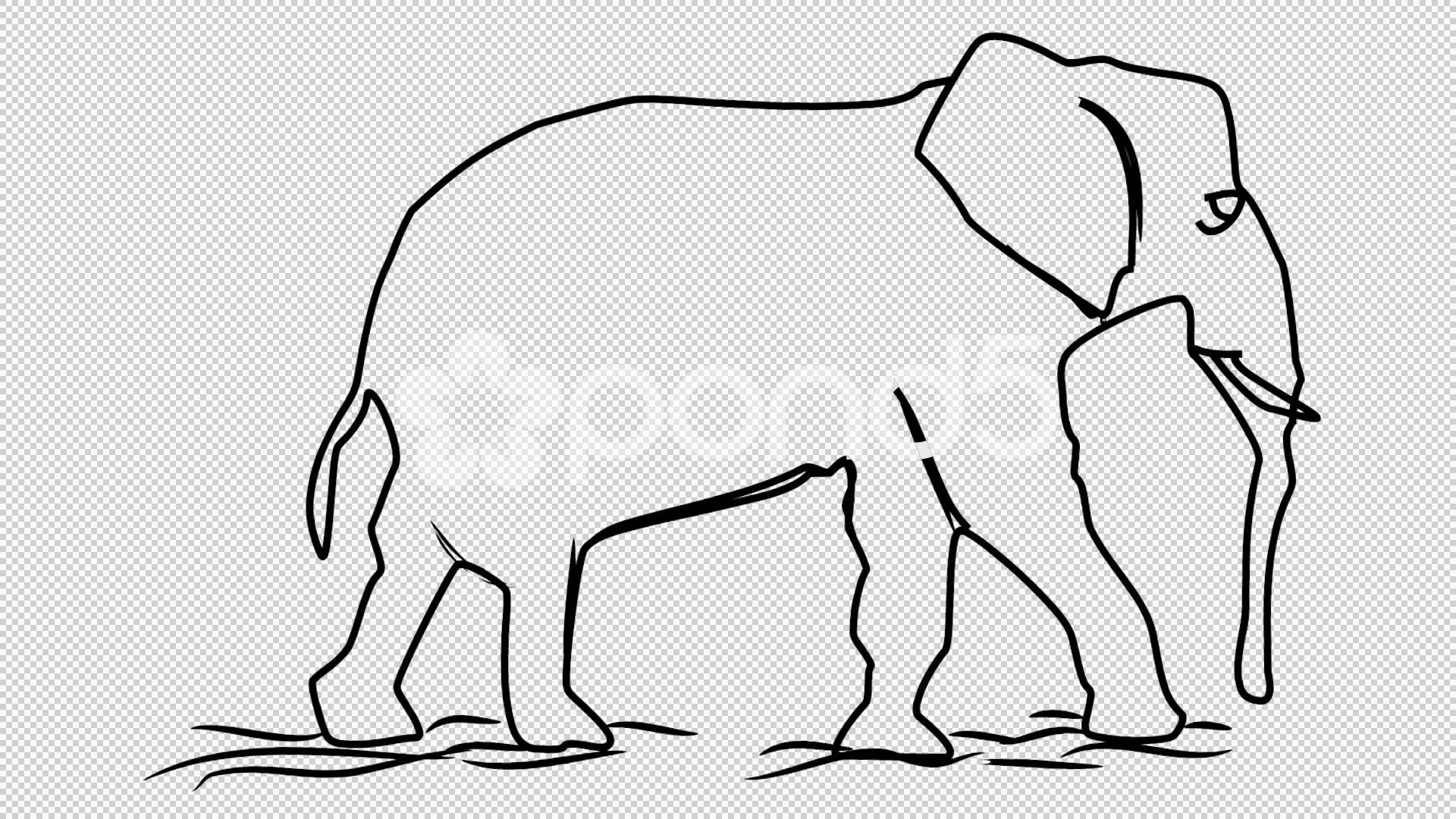Elephant icon Line Drawing Animation Tra... | Stock Video | Pond5