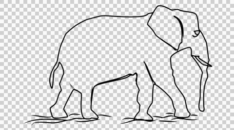 Elephant icon Line Drawing Animation Transparent Background Vector Motion  Stock Footage 44638523