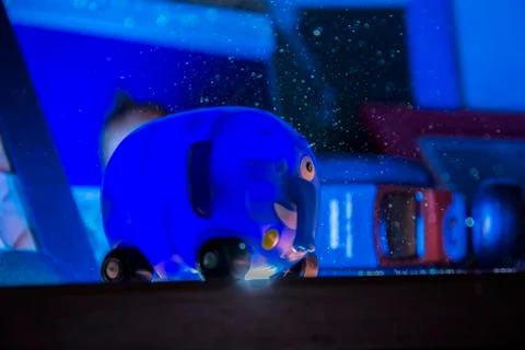 Elephant illuminated by the flash Stock-Fotos