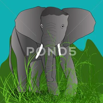 Elephant Stock Illustration