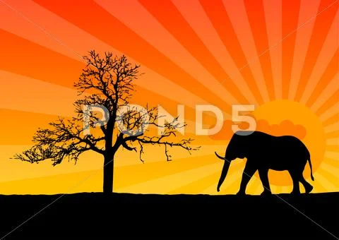 Elephant Stock Illustration