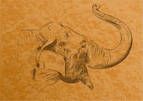 Elephant Stock Illustration