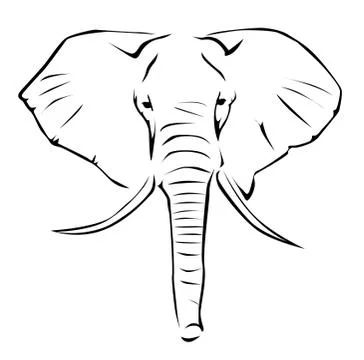 Elephant Stock Illustration