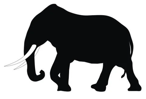 Elephant Stock Illustration