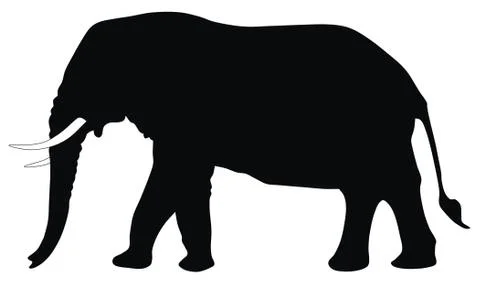 Elephant Stock Illustration