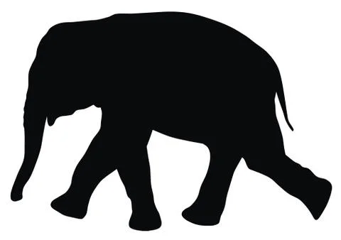 Elephant Stock Illustration