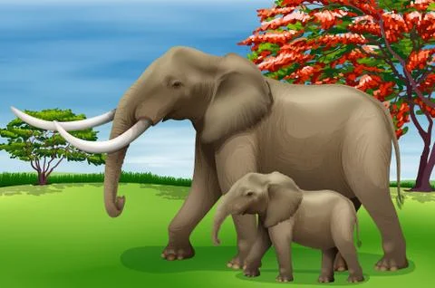 Elephant Stock Illustration