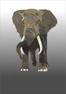 Elephant Stock Illustration