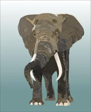 Elephant Stock Illustration