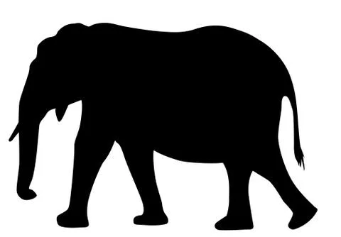 Elephant 库存插图
