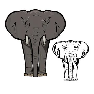 Elephant Stock Illustration