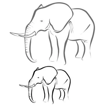 Elephant Stock Illustration